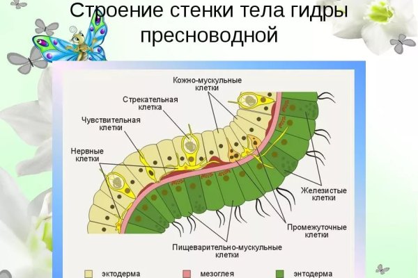 Kraken вход и ссылки