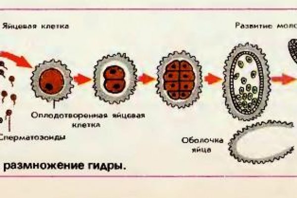 Зеркало на кракен